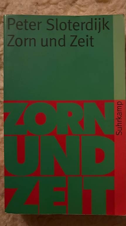 Libri: Zorn und Zeit - Peter Sloterdijk  – Usato da Basel venduto da pat_y298