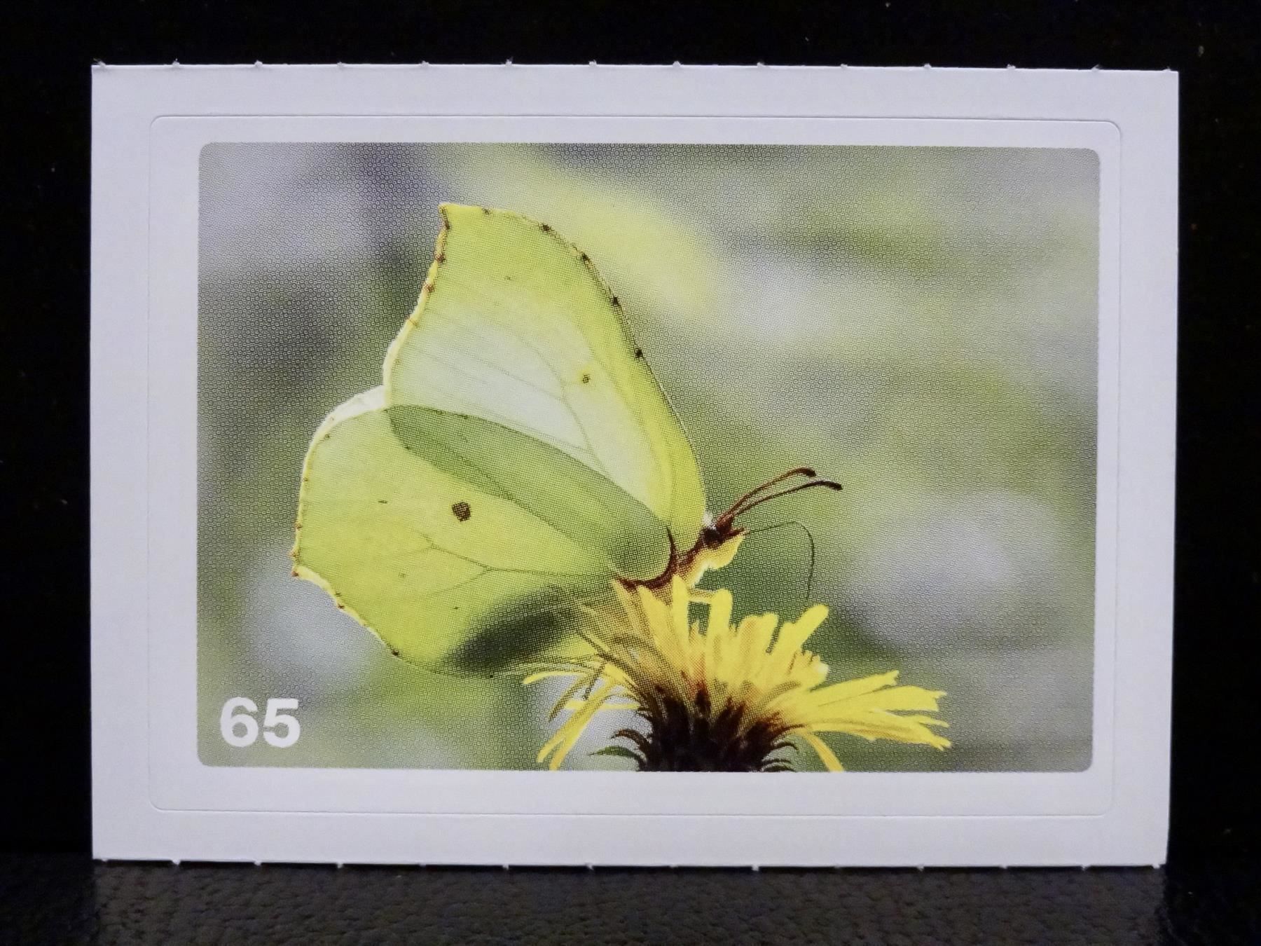 Migros Carte collezionabili: MIGROS MANIA Nature Detectives Nr. 65 – Nuovo e nell'imballaggio originale da Kerzers venduto da zimmergruen