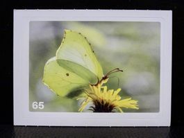MIGROS MANIA Nature Detectives Nr. 65