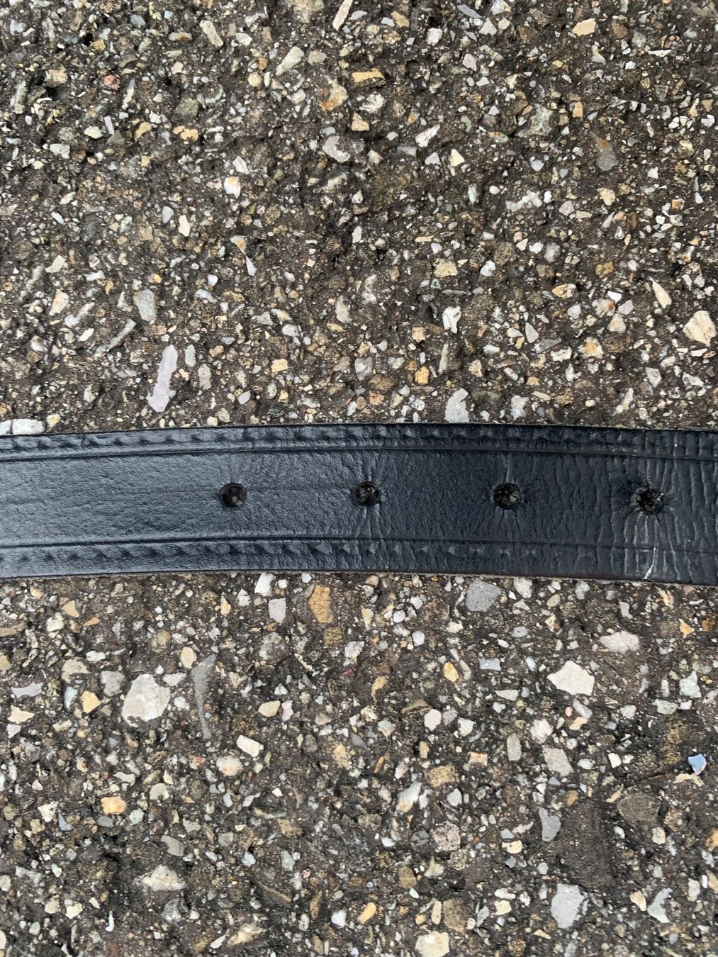 Cinture: Schweizer Ledergurt 125cm – Usato da Wiggen venduto da Antoniotto