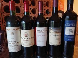 5 Fl. diverse Weine aus Kellerfund