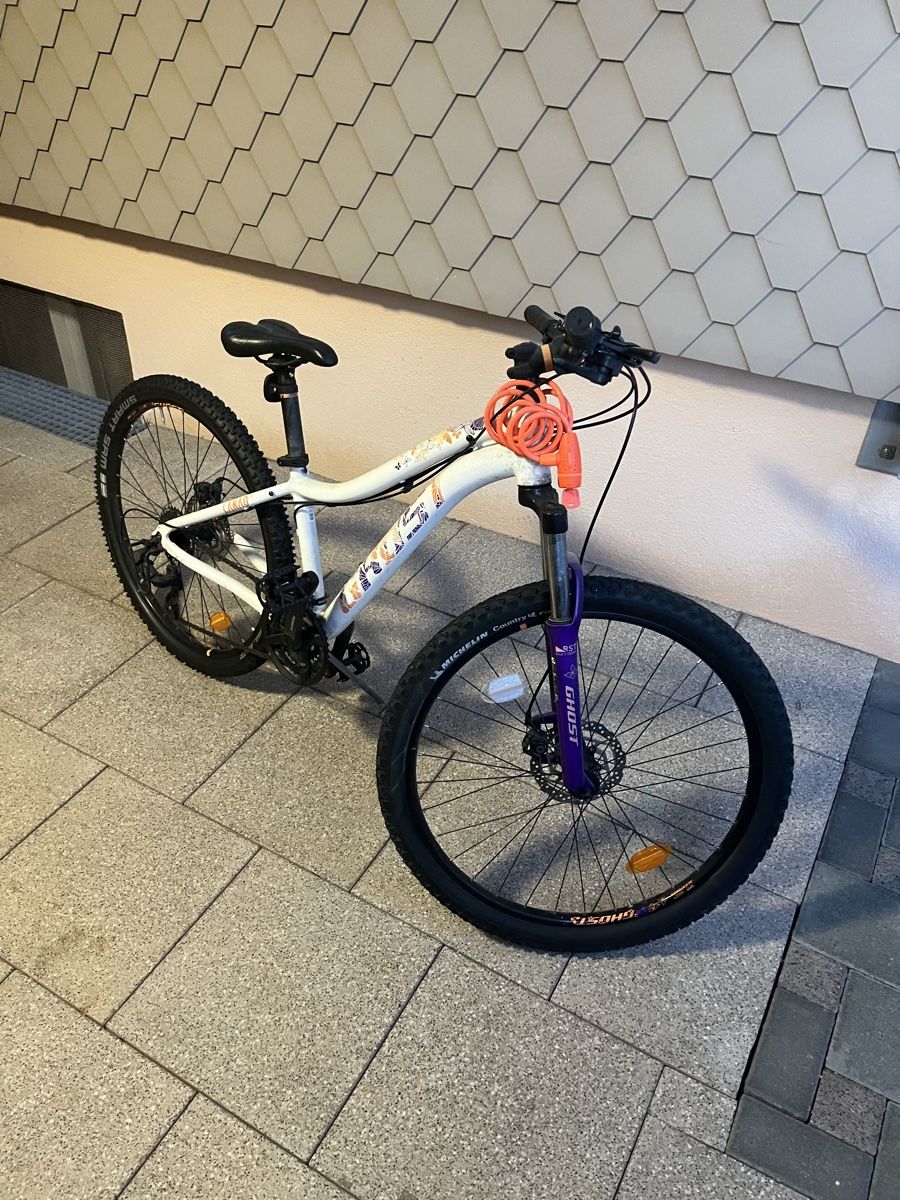 Biciclette: velo – Usato da Fischbach-Göslikon venduto da ime_7gn9 1