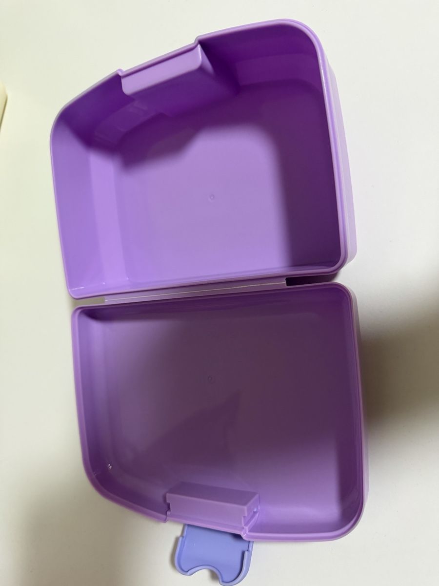 Contenitori & Simili: Brotdose Disney Frozen – Usato da Urdorf venduto da Maeneli90 1