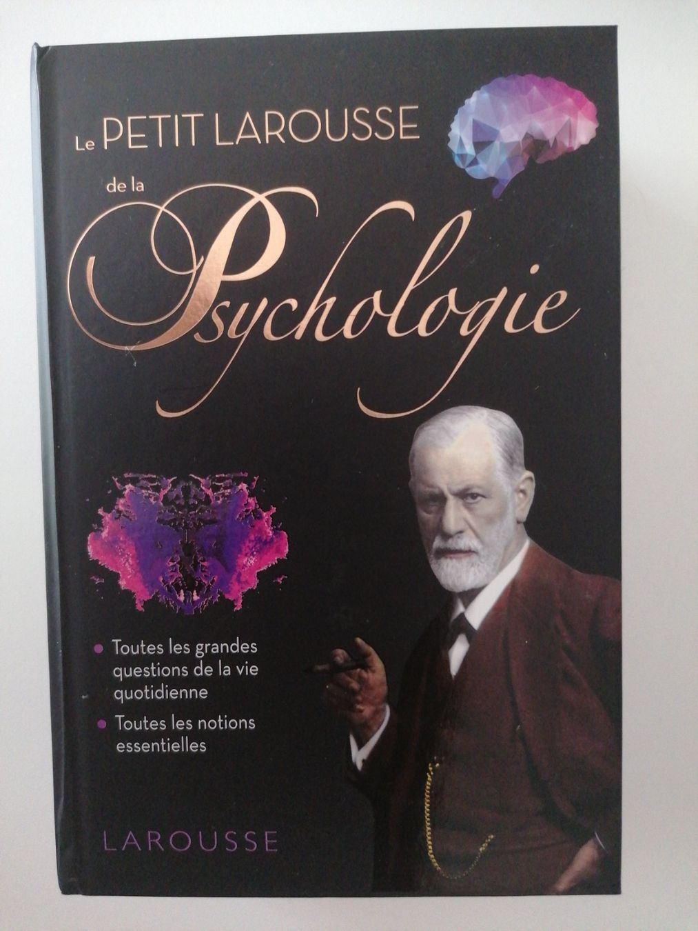 Libri: Psychologie Petit Larousse – Usato da Ecublens VD venduto da loi_dy6b