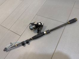 Teleskoprute mit Spitzenschutz und Rolle