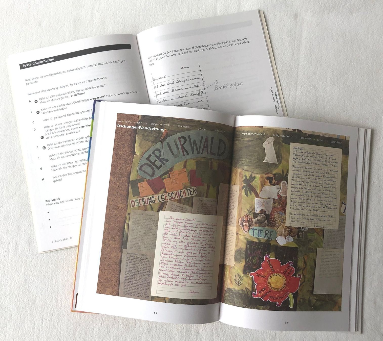 Libri: Schweizer Sprachbuch 4 mit Arbeitsheft – Usato da St.Gallen venduto da Paddington11 1