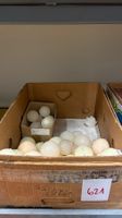 621 Posten Haushaltskerzen aus Liquidation
