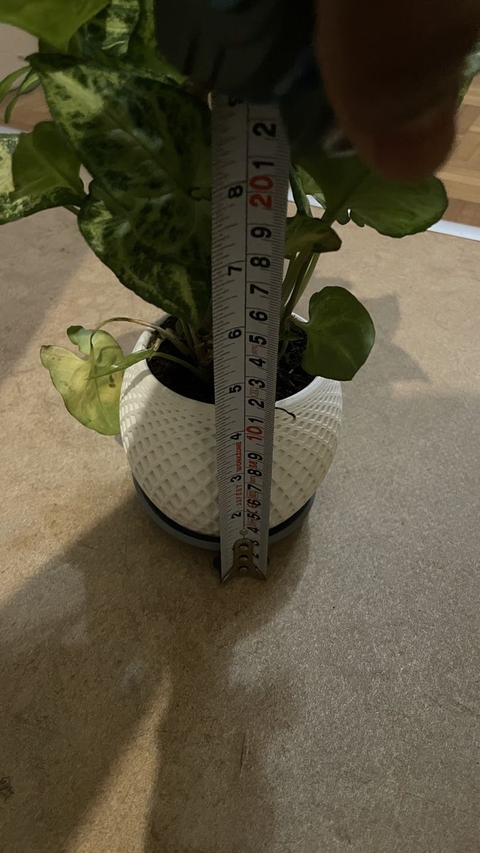 Pots de fleurs: Polygon Planter, Premium 3D Printed – Neuf avec emballage d'origine à Luzern par Vi-Print 2