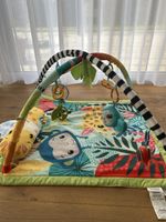 Fisher Price Sensorische Erlebnisdecke