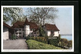 Seengen, Schloss Brestenberg am Hallwile