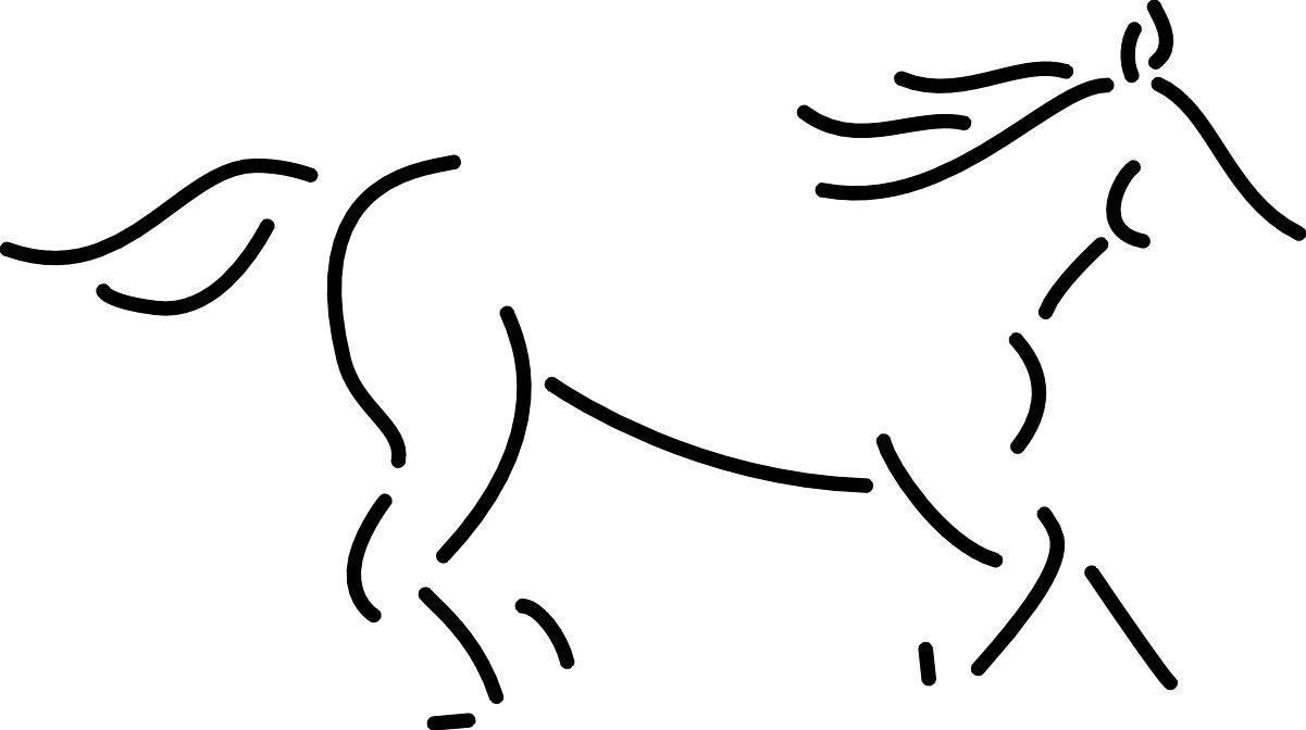 Prodotti per la cura & articoli per la pulizia: Equine dental tools – Nuovo e nell'imballaggio originale da Arch venduto da Matt780 3