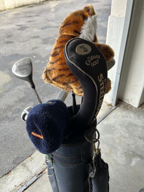 Golfbag mit Driver und Eisen (Gebraucht) in Zürich für CHF 4 – nur ...