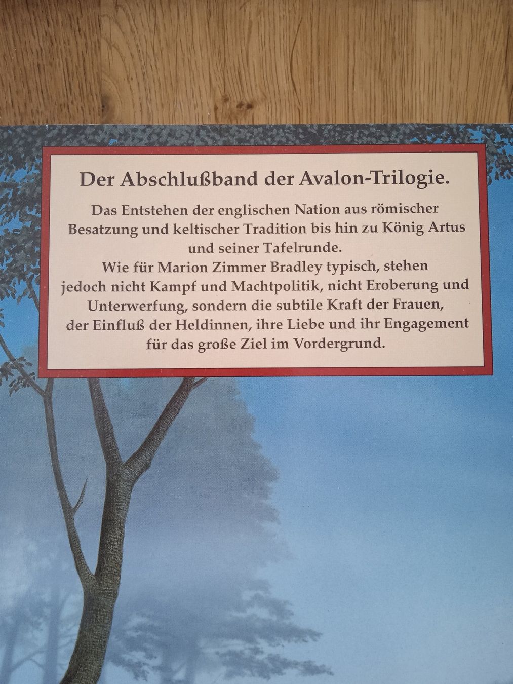Libri: Die Herrin von Avalon – Usato da Rothrist venduto da MaSa82 1