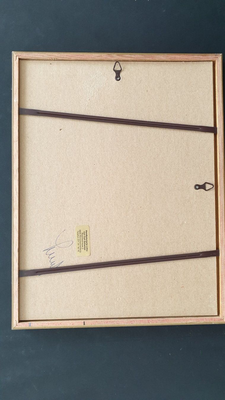 Grafica & Litografie: Rorschach. Schloss Wiggen. Lithografie. – Usato da Goldach venduto da armando_r 3