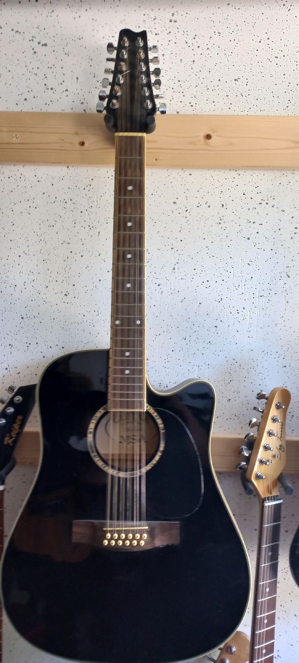 Strumenti musicali: Div. Gitarren a je Fr. 100.- – Usato da Schaffhausen venduto da raj_f5dm 2