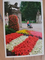 Postkarte Zofingen A5 (Unterer Stadteingang / Löwenbrunnen)