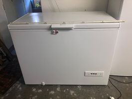 Bauknecht Gefriertruhe GT219