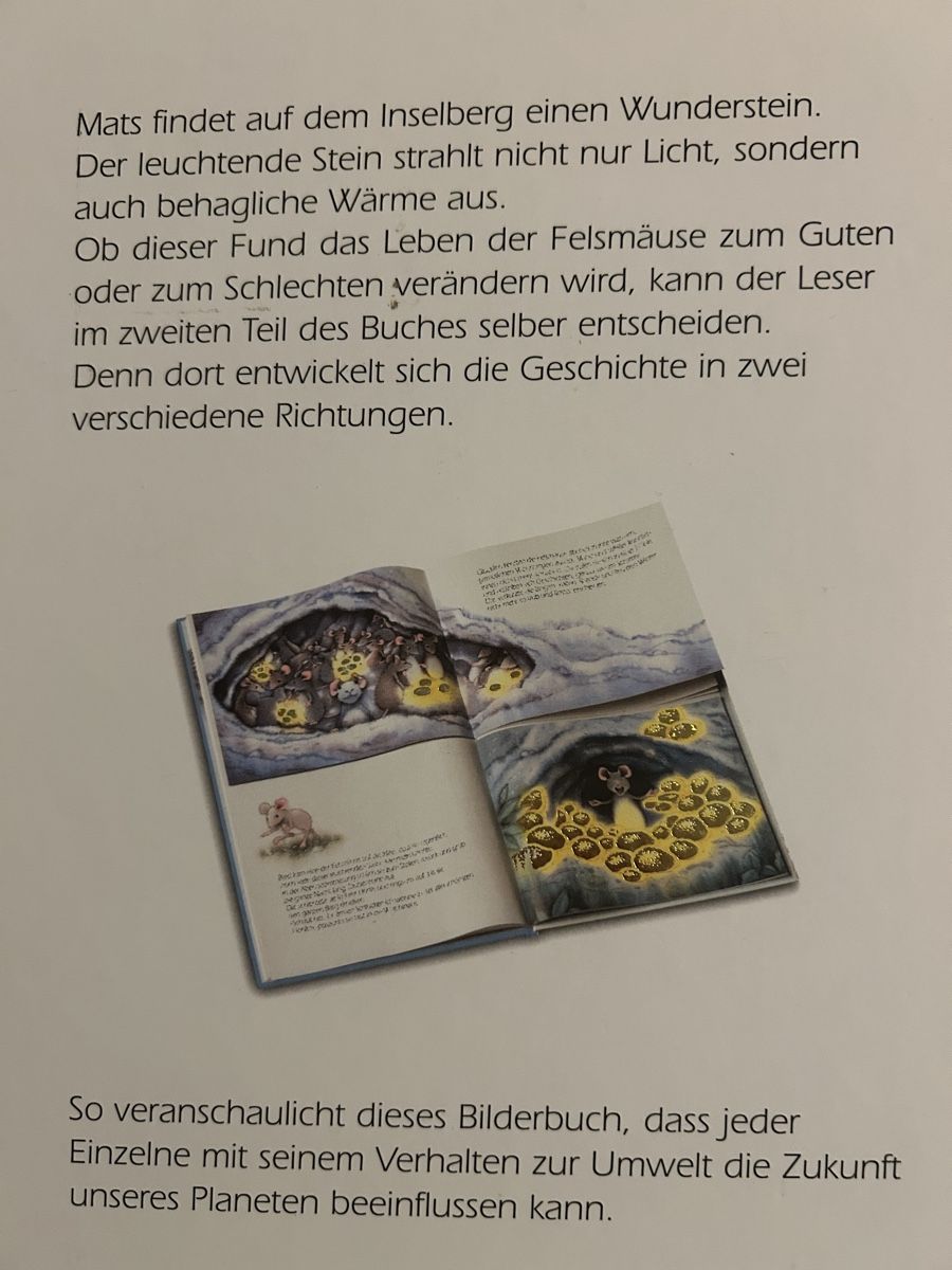 Libri: Marcus Pfister: Mats und die Wundersteine – Usato da Wolhusen venduto da eve_m6cg 2
