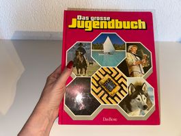 BUCH: Das grosse Jugendbuch, 26te Folge