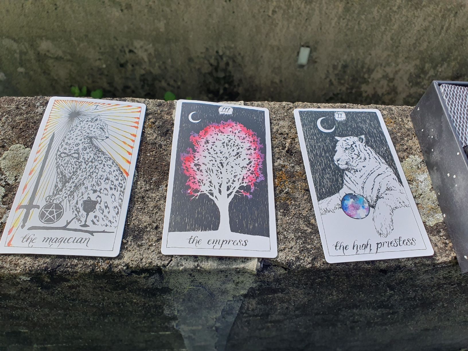 Spiele: Tarot Deck "The Wild Unknown" von Kim Krans mit Guidebook – Gebraucht aus Wimmis von hel_m26m 3