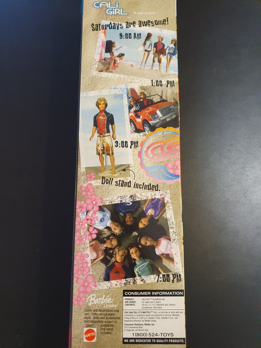 Puppen: Barbie Cali Guy Blaine, 2004 – Gebraucht aus Zürich von summersand 1