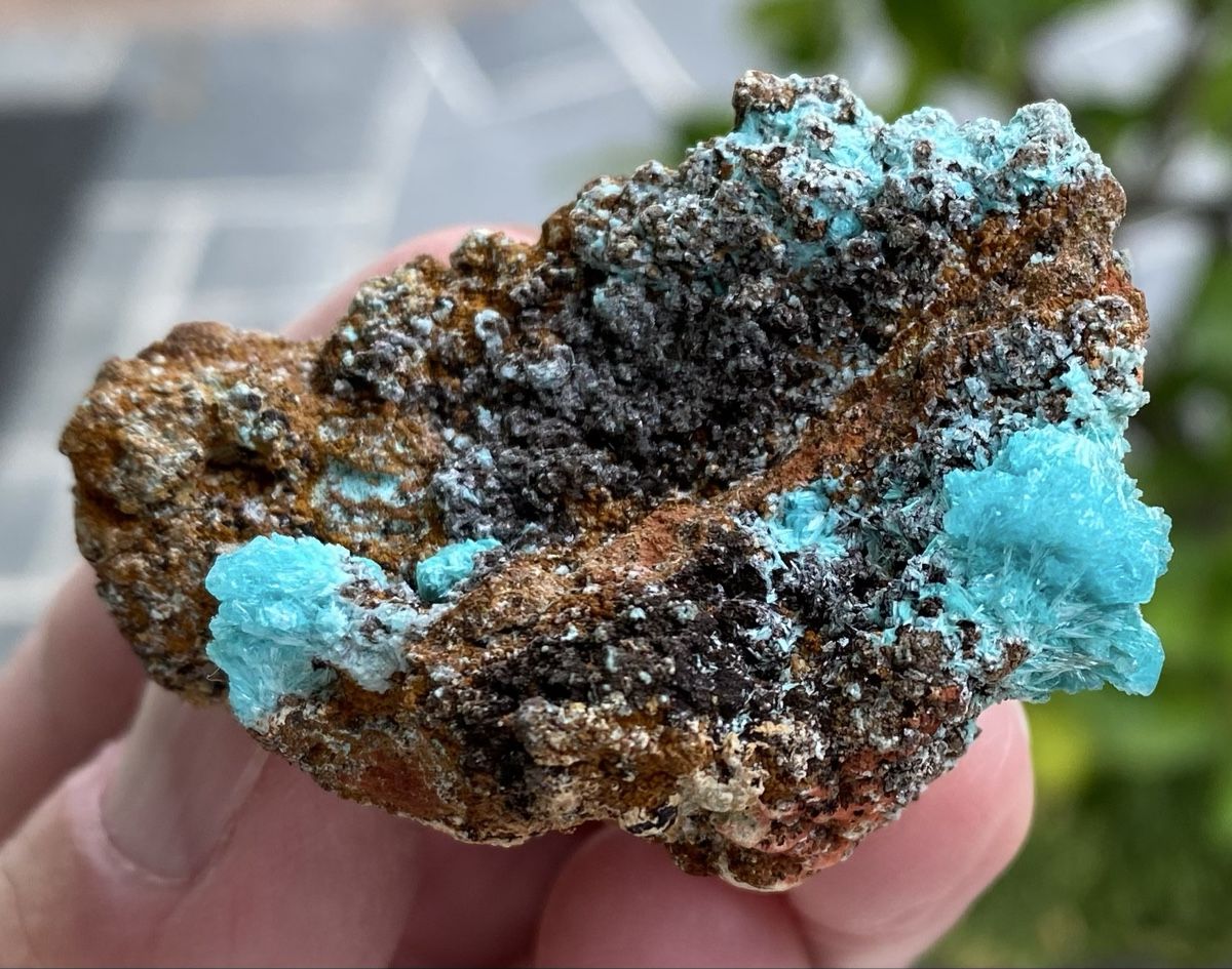 Mineralien & Heilsteine: Super Aurichalicit Mapimi Mexico  – Gebraucht aus Selzach von 321compac 7