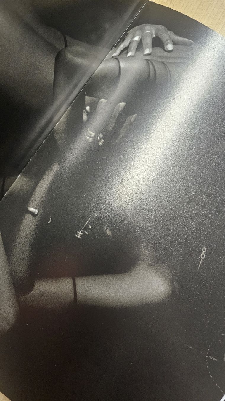 Libri: Bruno Bisang Chi mi tocca e perduto - Akt Erotik  Bilderbuch – Nuovo (secondo la descrizione) da Zürich venduto da ZH-Vintage 3