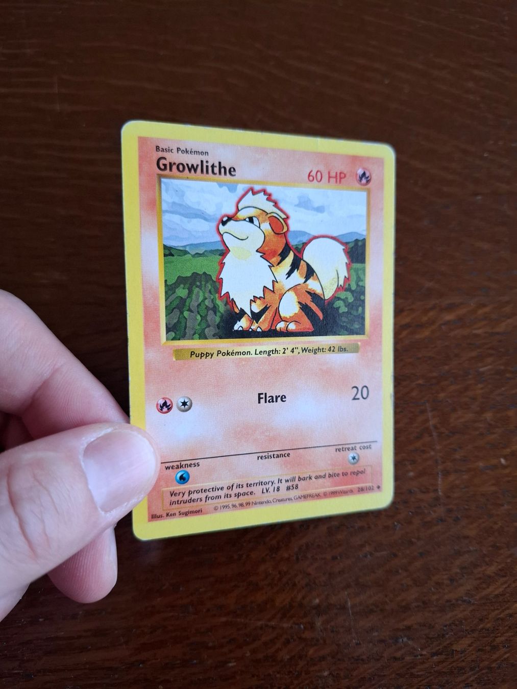 Pokémon Carte collezionabili: Pokemon Growlithe Base Set Shadowless 28/102 – Usato da Giornico venduto da ale_lc8k 2