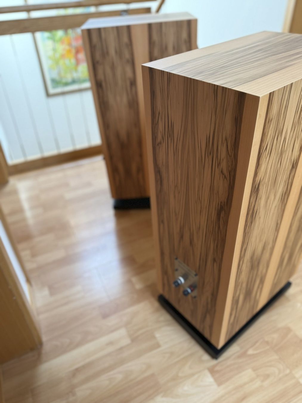 Casse acustiche: TOBIAN Sound Systems 10HC Lautsprecher – Usato da Lichtensteig venduto da Twalt 3