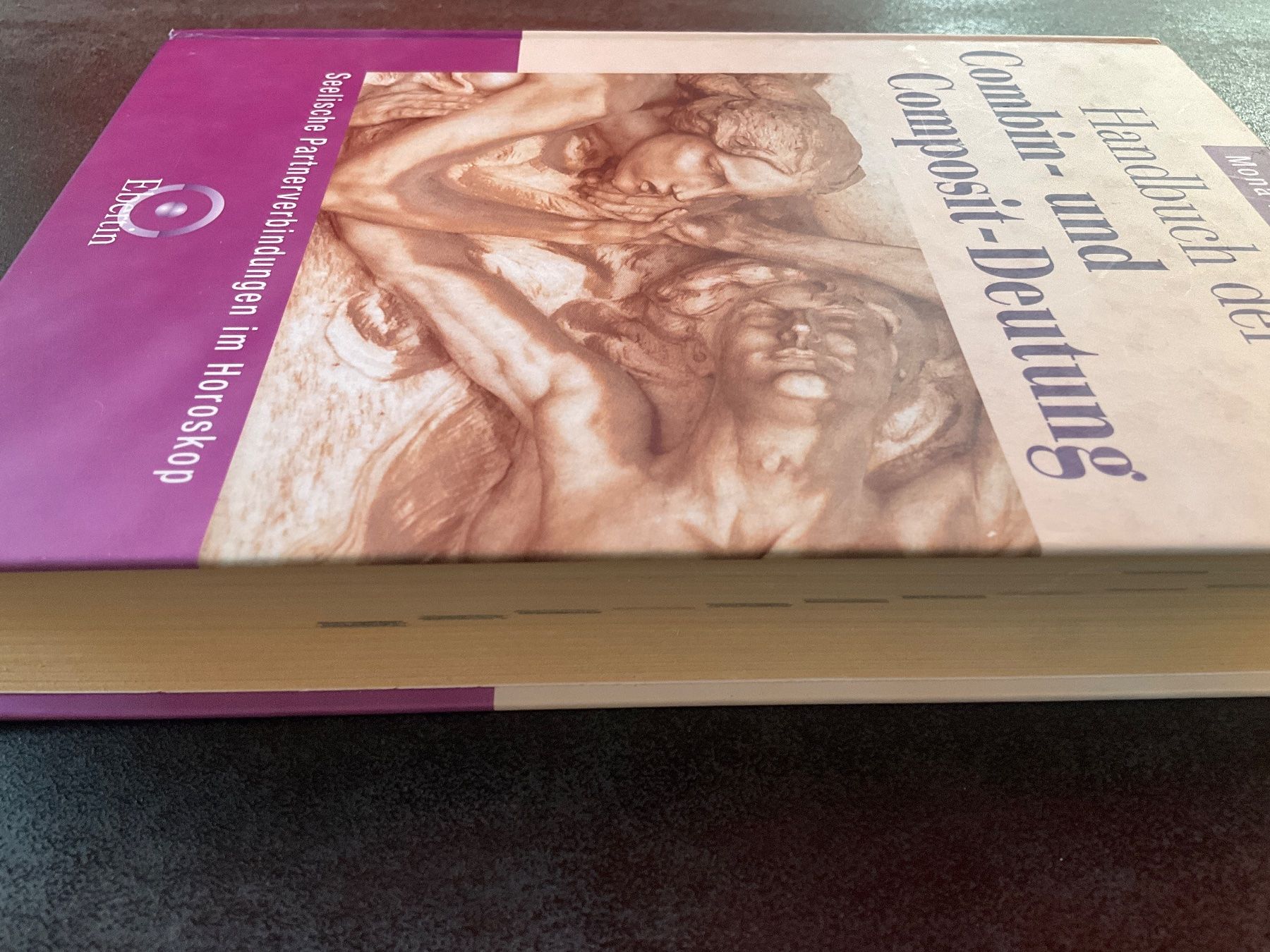 Bücher: Handbuch der Combin- und Composit-Deutung – Gebraucht aus Avenches von Lactobacille 4