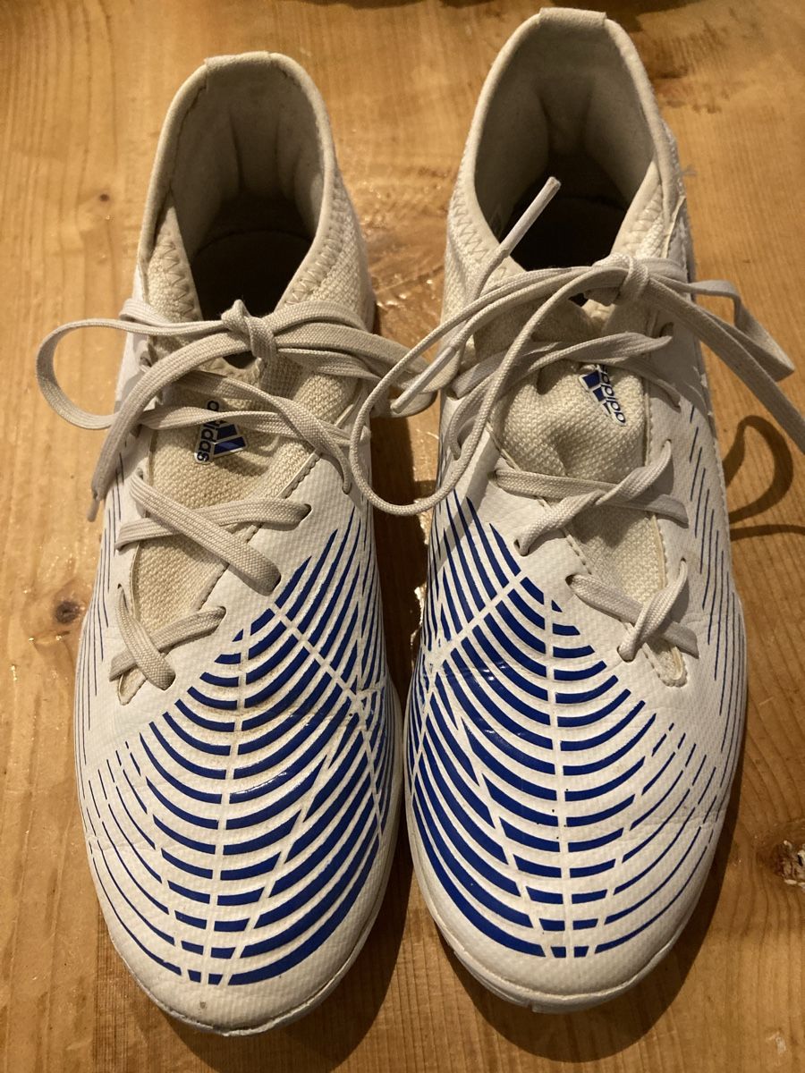 Adidas Chaussures hommes: Adidas Predator – D'occasion à Löhningen par Balou-12