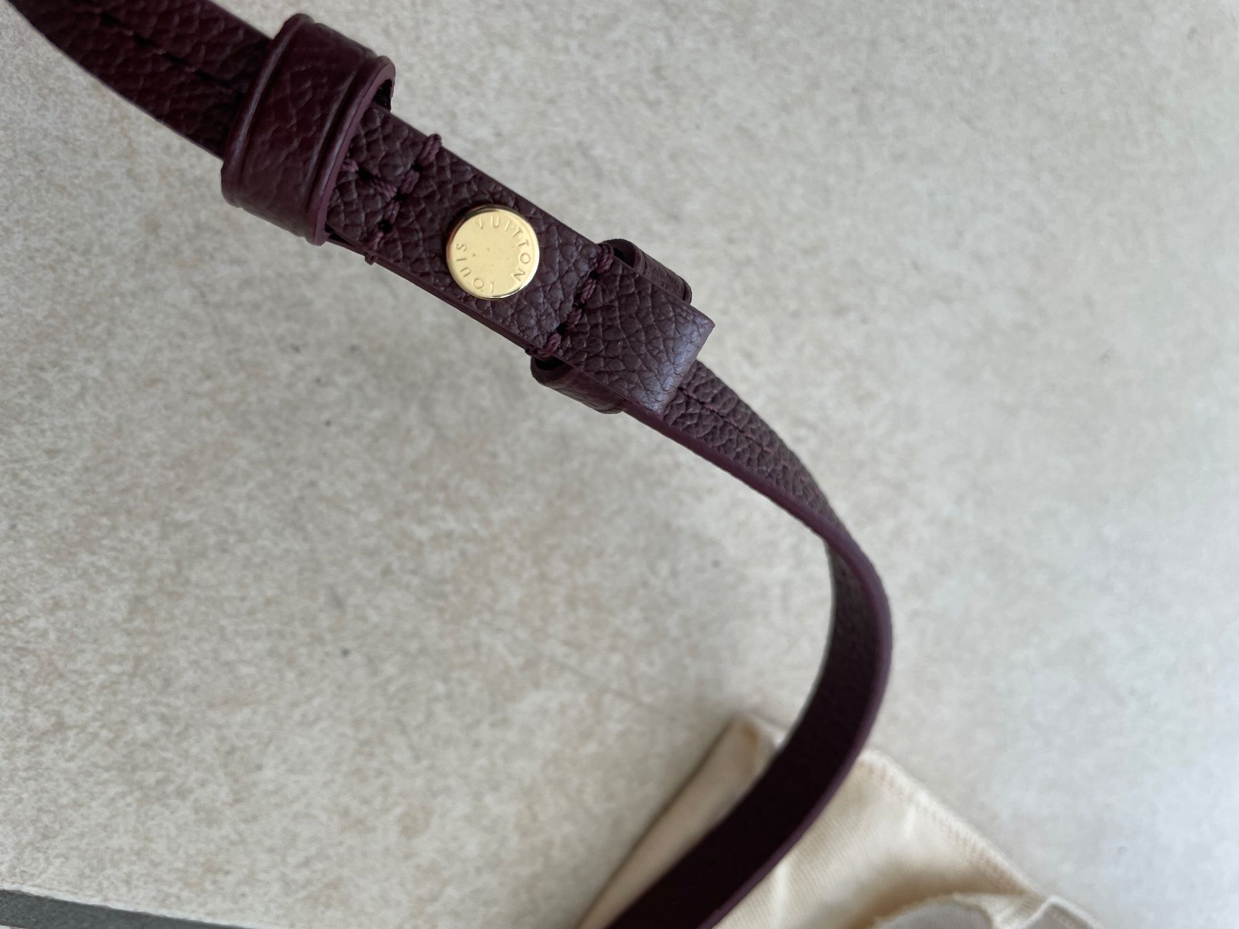 Louis Vuitton Borse da donna: LV Easy Pouch On Strap – Nuovo e nell'imballaggio originale da Baar venduto da Chrila3 3