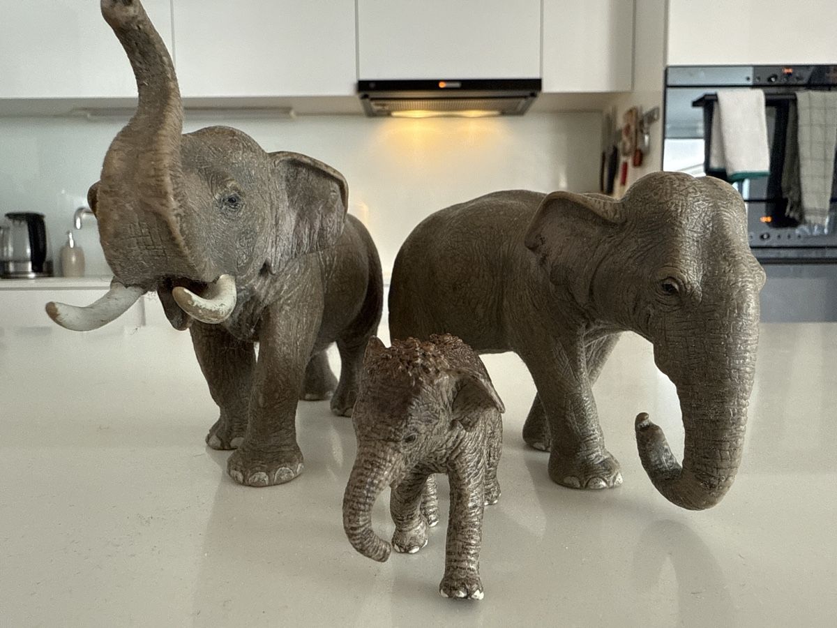 Schleich Spielzeuge: 3 Elefanten 🐘 Schleich – Gebraucht aus Zürich von Mothai 3