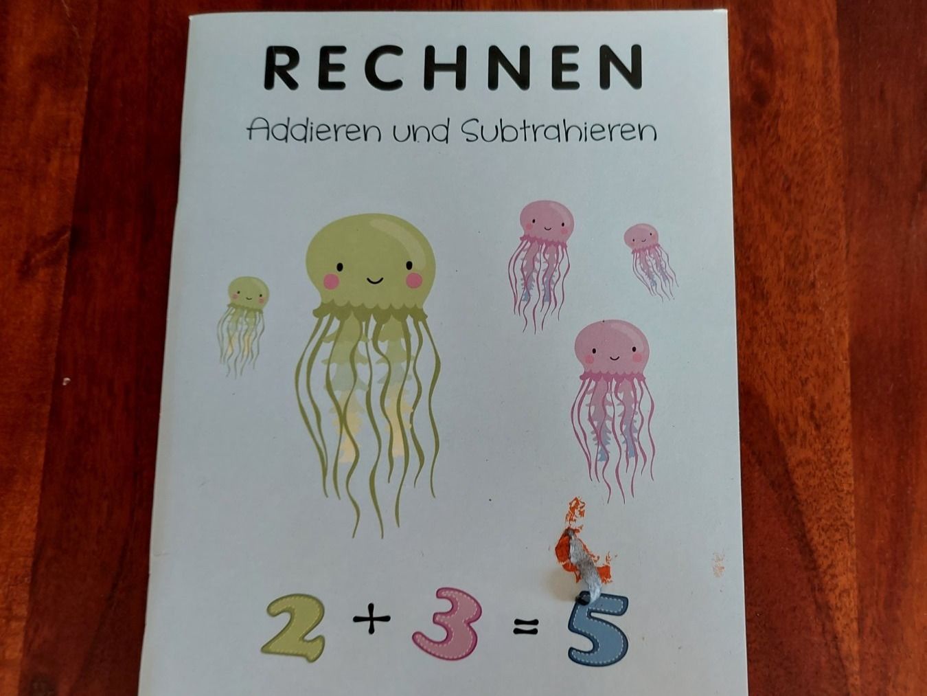 Libri: Rechnen Übungsheft – Nuovo (secondo la descrizione) da Beckenried venduto da Havacola 2