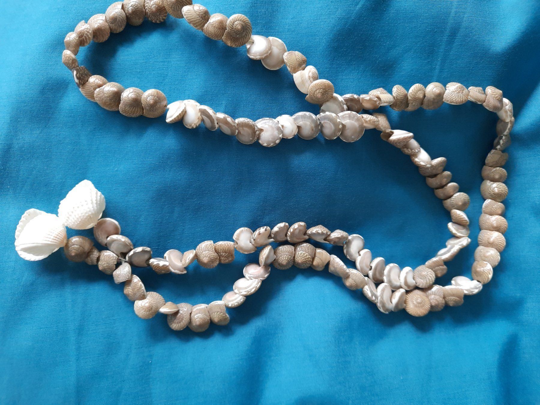 Ketten: Muschelkette, 46cm, neu – Neu (gemäss Beschreibung) aus Herrliberg von AlexandraBopp