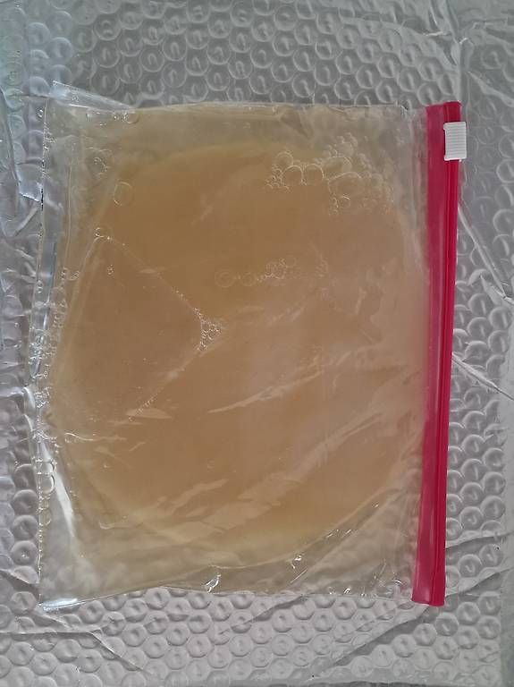 Aliments & Spécialités: Riesig Kombucha SCOBY (Grüntee) – D'occasion à Zürich par sdsp 3