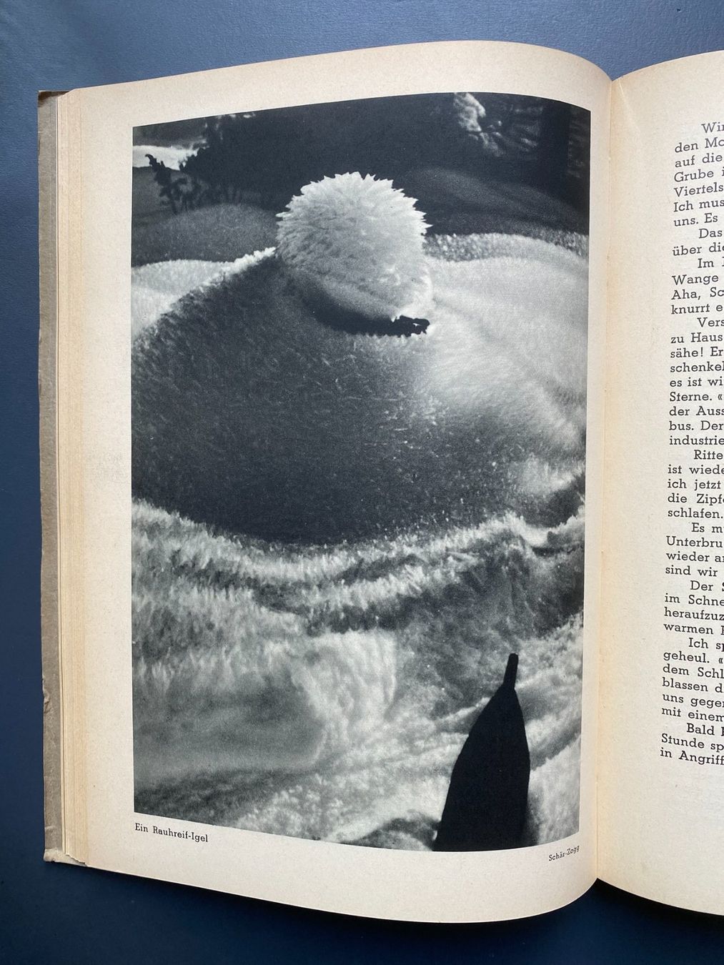 Libri: Schweizerischer Skiverband - Jahrbuch 1935 – Usato da Zürich venduto da jesulin05 2