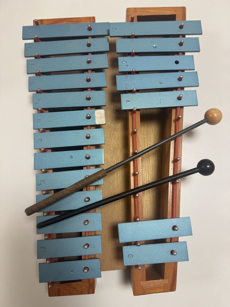 Strumenti musicali: Xylophon imit Schlagstoecken  – Usato da Zürich venduto da oase69