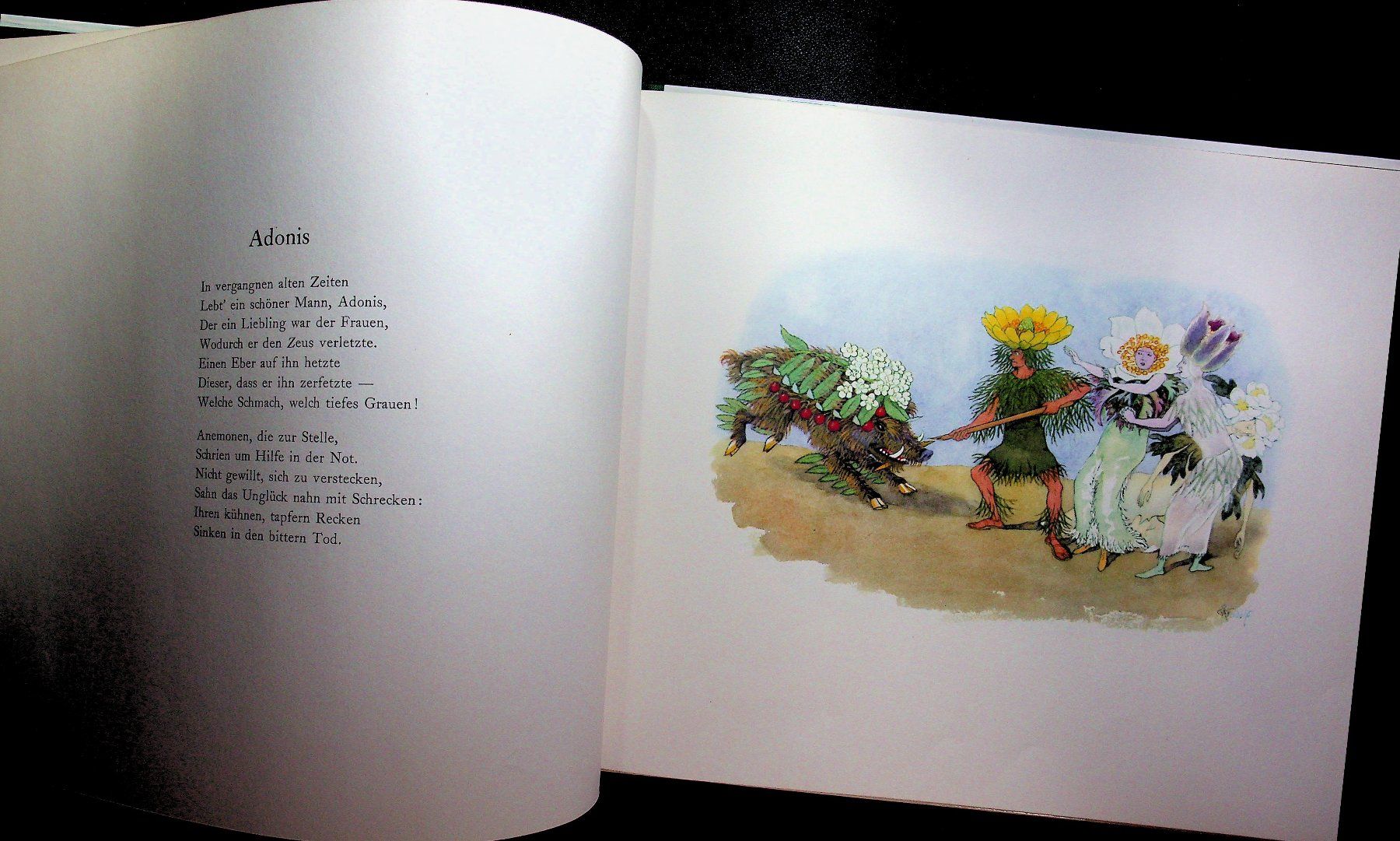 Bücher: Ernst Kreidolf Alpenblumenmärchen – Gebraucht aus Reitnau von zao_6stq 5
