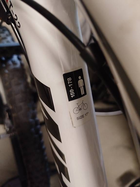 Biciclette: Wheeler Falcon 29 fully carbon – Usato da Stachen venduto da Mac4693