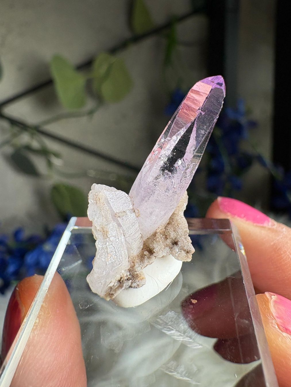 Pietre preziose: Veracruz Amethyst – Nuovo (secondo la descrizione) da Neuheim venduto da m.hald