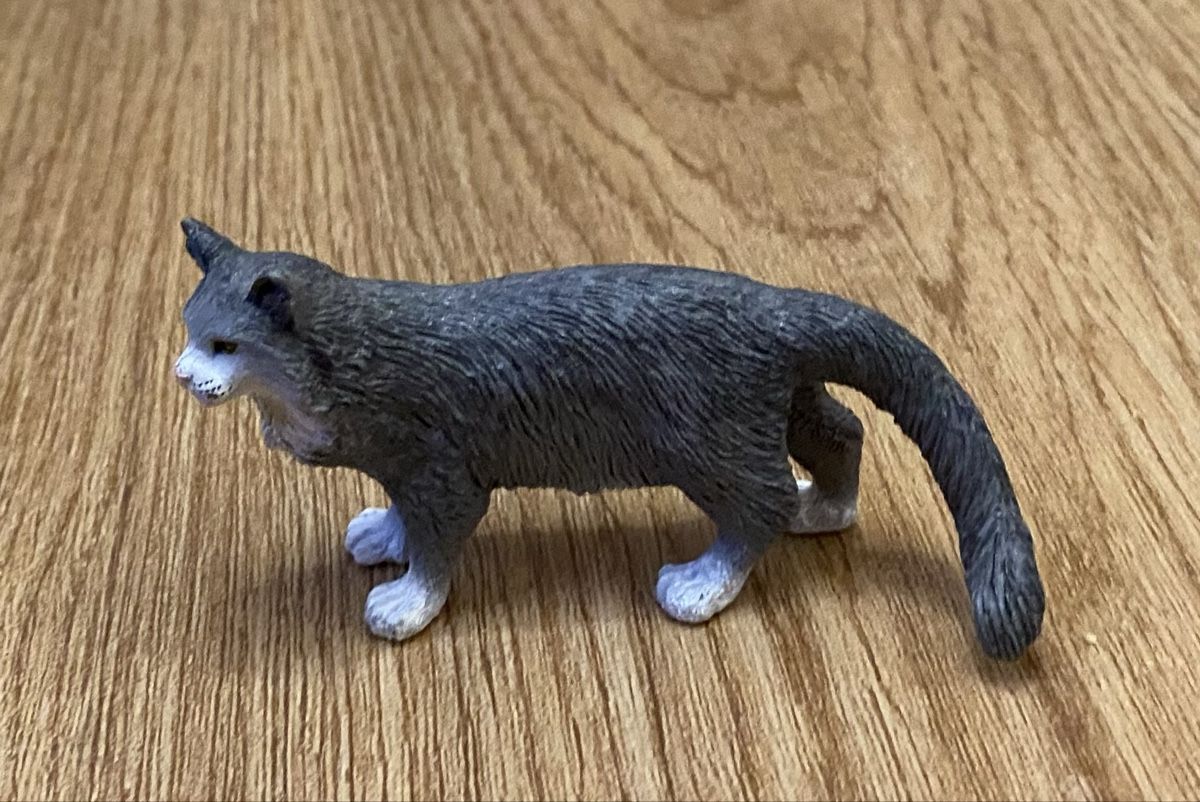 Schleich Spielzeuge: Schleich Katze – Gebraucht aus Flawil von Vera44