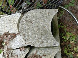 Beton Rasenkanten / Gartensteine / Begrenzungssteine