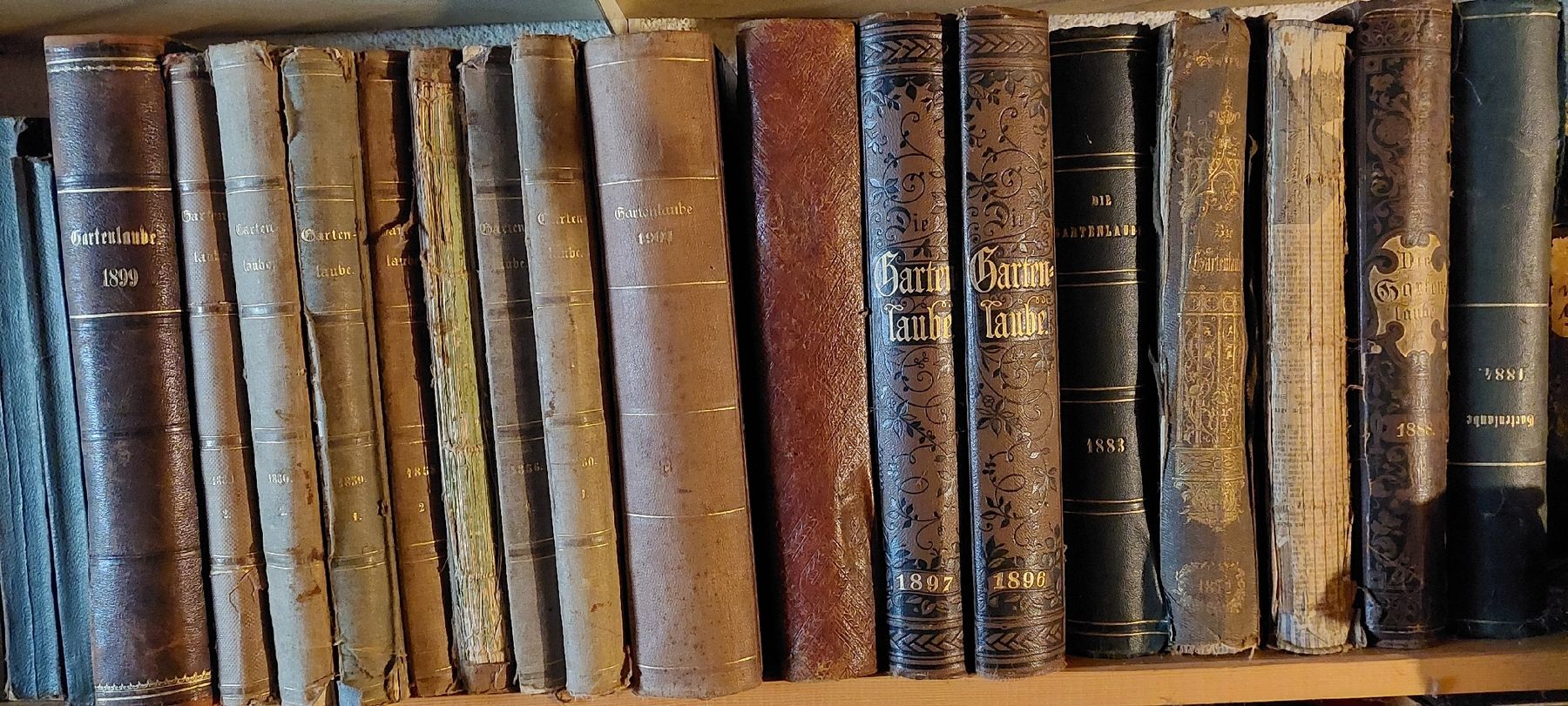 Libri: Die Gartenlaube – Usato da Zürich venduto da Ikomerz