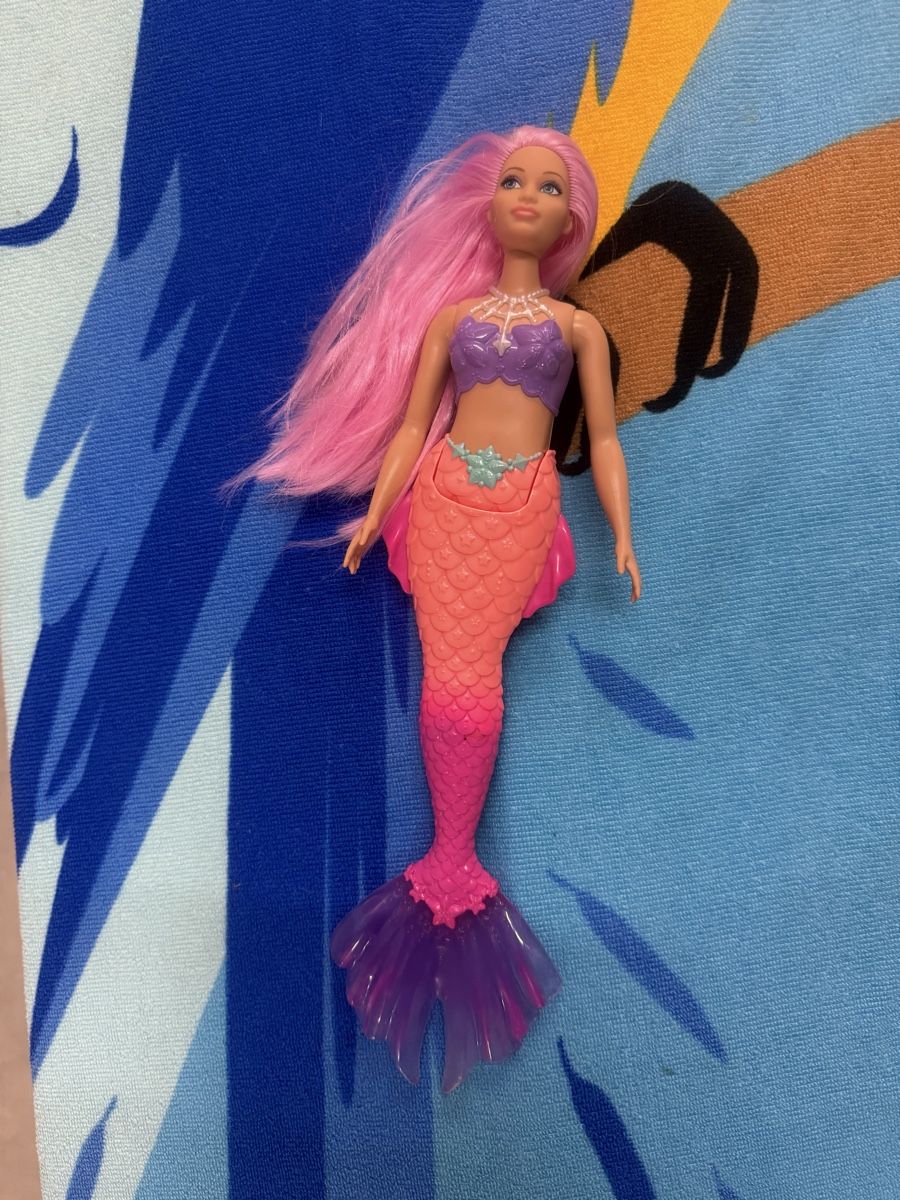Bambole: Barbie Dreamtopia – Usato da Ecublens VD venduto da charliecinquillo