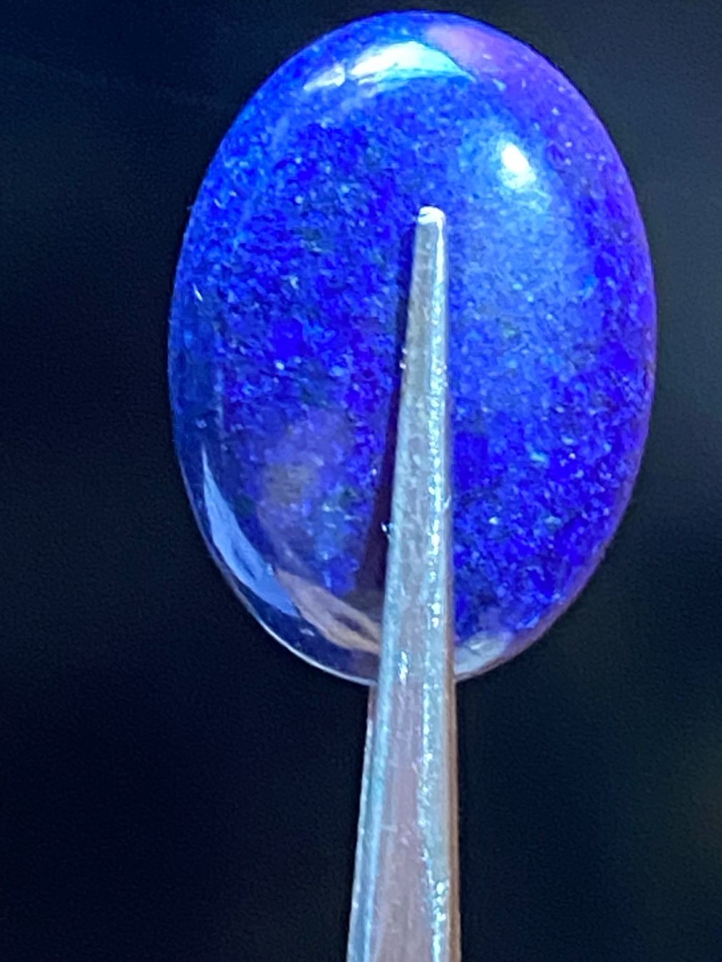 Pietre preziose: Echte Lapislazuli Edelsteine im Cabochon Rundschliff – Nuovo e nell'imballaggio originale da Zuerich venduto da SonderArt-Wertgut 1