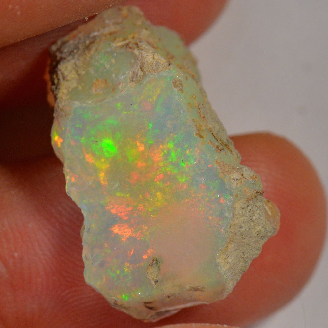 Pietre preziose: 15.8 Karat - Roher Äthiopischer Welo Opal – Nuovo (secondo la descrizione) da Rüti ZH venduto da DeinOpal 4