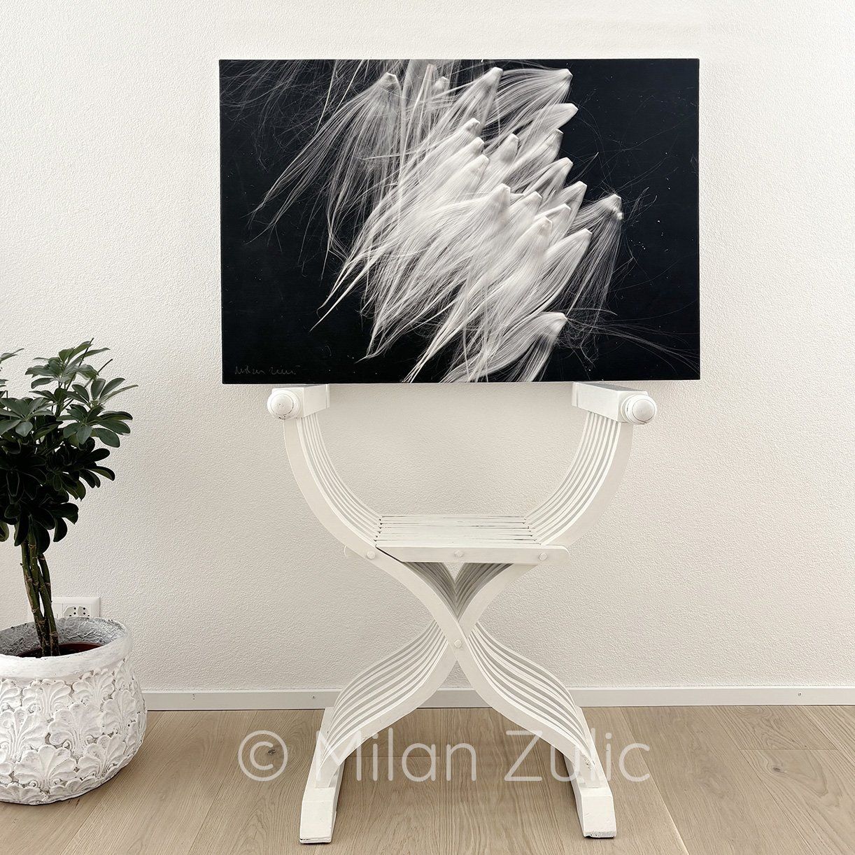 Foto & Immagini: Milan Zulic ~22 – Nuovo (secondo la descrizione) da Uetikon am See venduto da mil_7k2b
