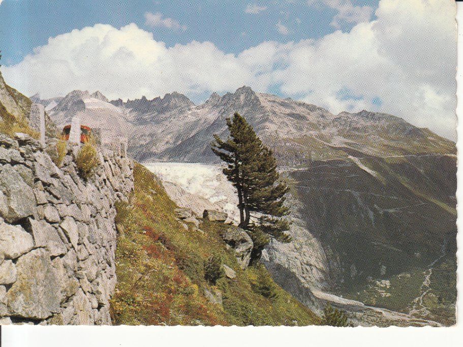 Cartoline postali: Grimselpass ca. 1960 – Usato da Bürglen TG venduto da StampGraf