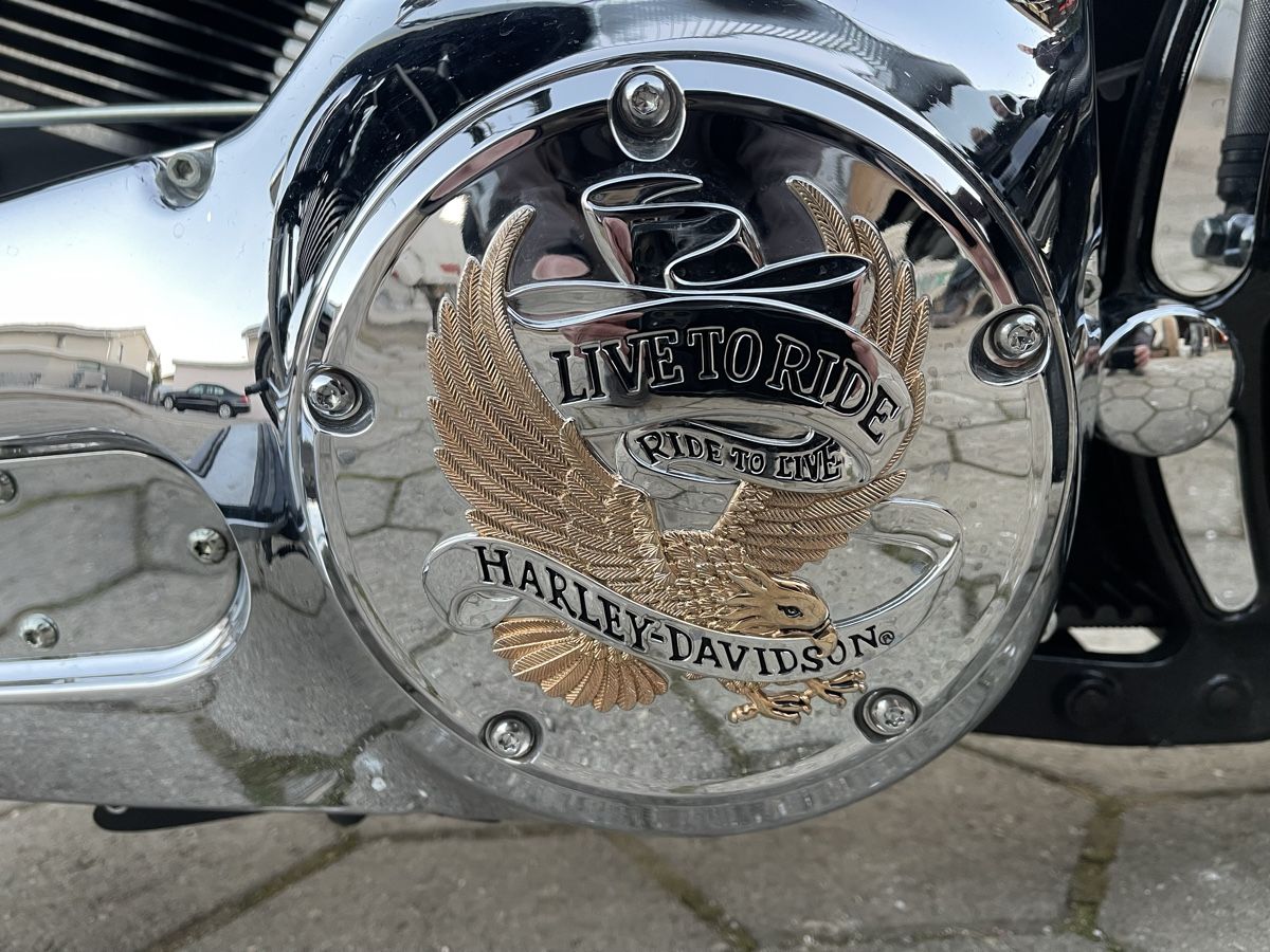 Chopper: Harley Davidson Fatboy – Usato da Roggwil BE venduto da TripFilip 3